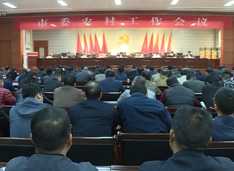 卫辉新闻最新动态，全面指南获取卫辉市最新新闻的步骤与解读