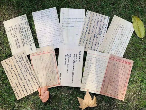 最新音乐视频，友情与家的温暖旋律演绎情感深度