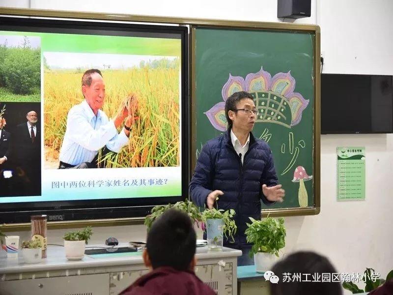 最新排课软件轻松解决课程安排难题！📅