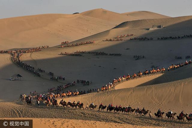 电影资源最新，自然美景的心灵之旅，探寻内心平静之旅