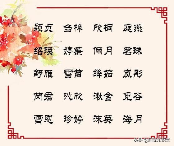 最新女孩名字精选，展现独特个性魅力✨