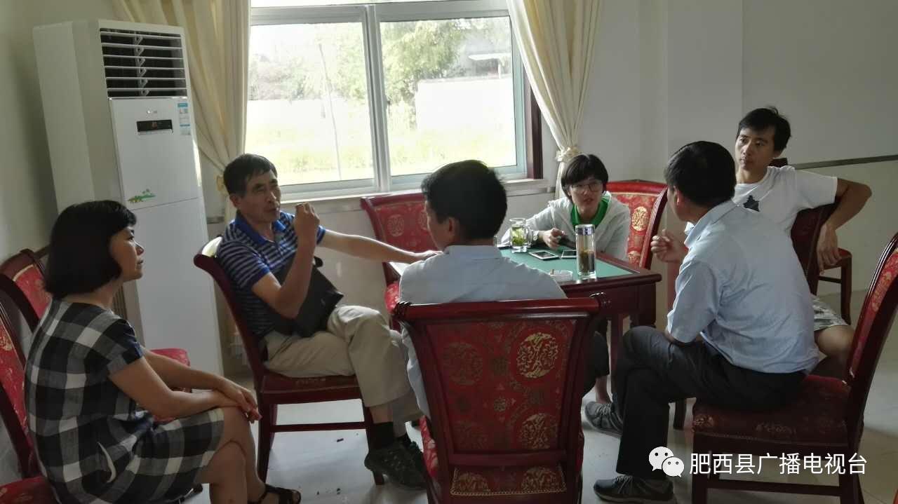 最新肥西新闻速递