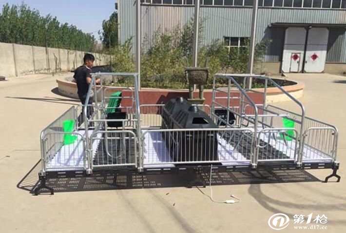 科技赋能下的母猪产床升级，提升畜牧业生产力