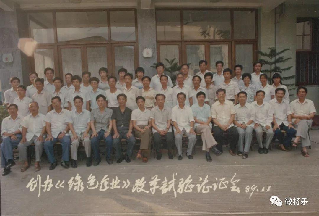 科技重塑木材市场，最新原木价格引领未来生活新篇章