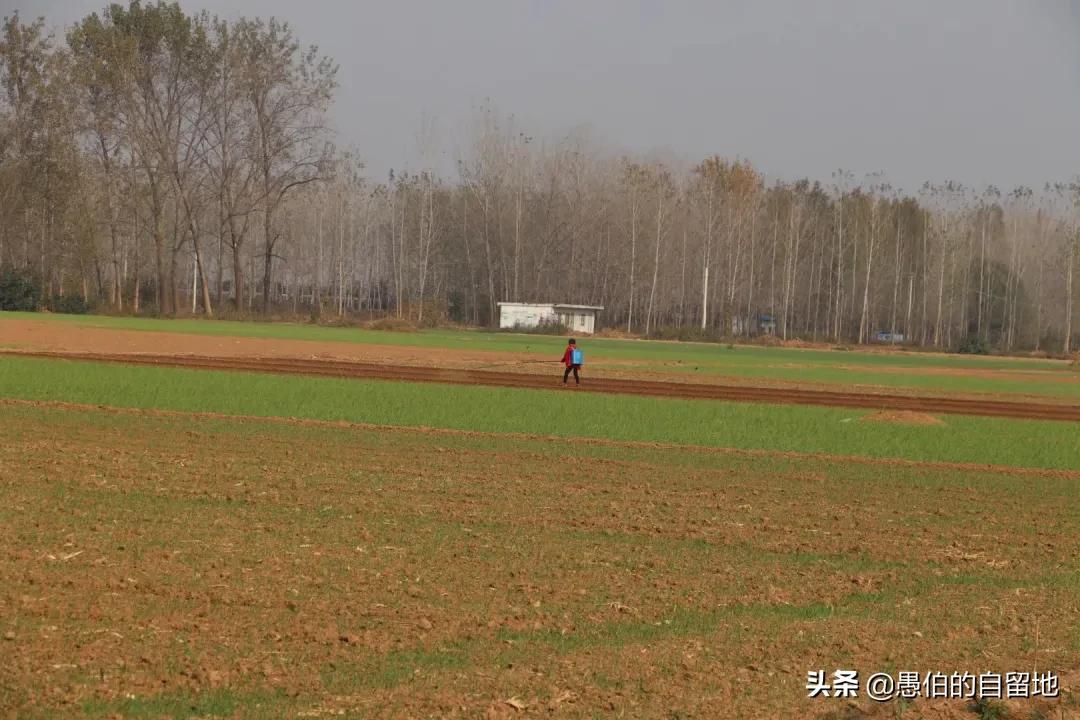 旭阳教育特训学校 第384页