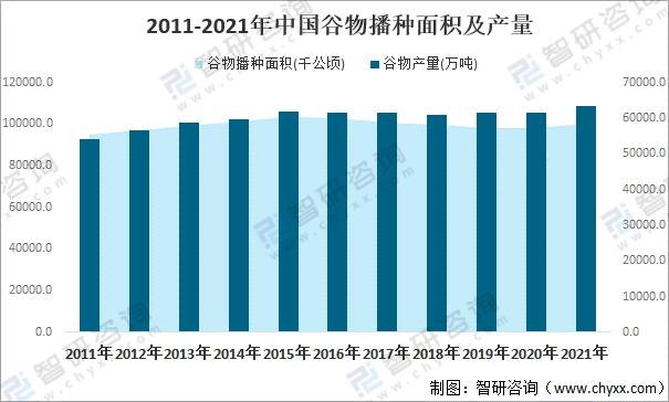 高粱最新行情分析与趋势预测