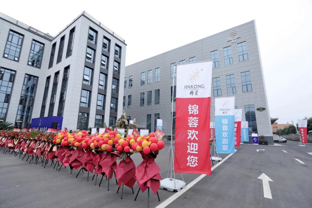 前端最新动态，引领技术革新与未来趋势分析