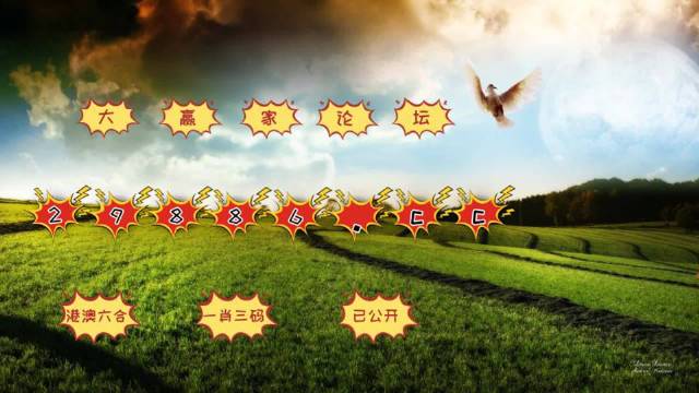 4949澳门今晚开奖,快速实施解答研究_投影版95.656