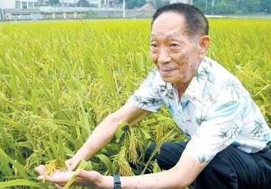 重庆旭阳教育 第320页