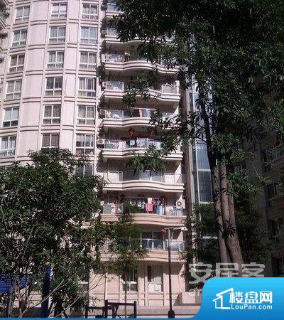 旭阳教育特训学校 第351页