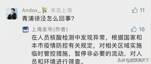 上海疫情下的自然之旅，寻找内心的宁静与平和