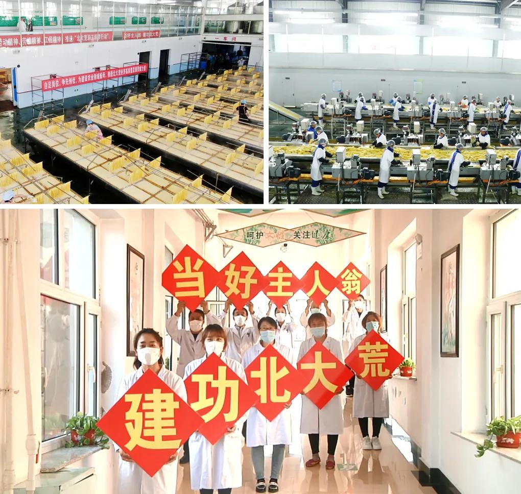 劳动教育最新政策详解，任务完成与技能学习步骤指南