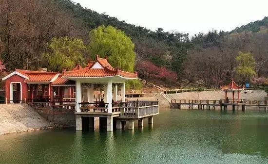李沧森林公园最新价格指南，最新价格一览表！