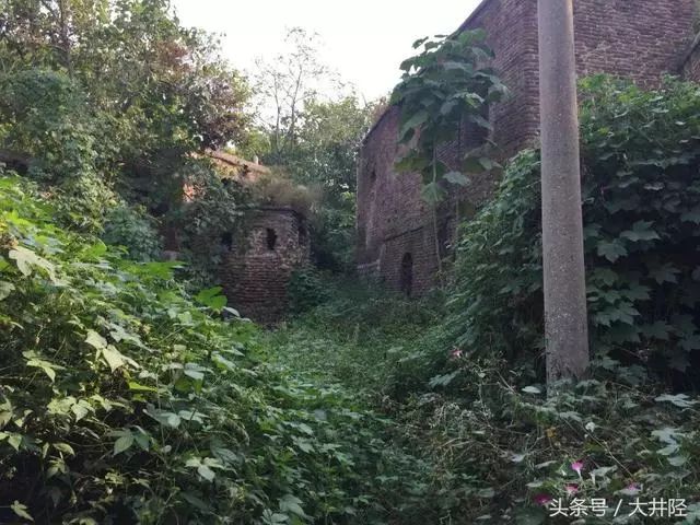 封闭式管理学校 第327页