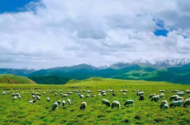 若尔盖小独库最新路况，畅通无阻的旅行体验之旅