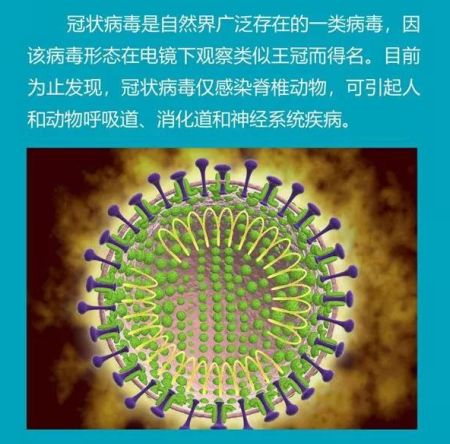 最新新型冠状病症状概述