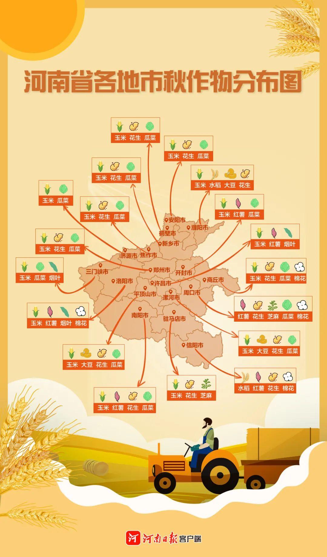 河南小麦最新收购价格发布！