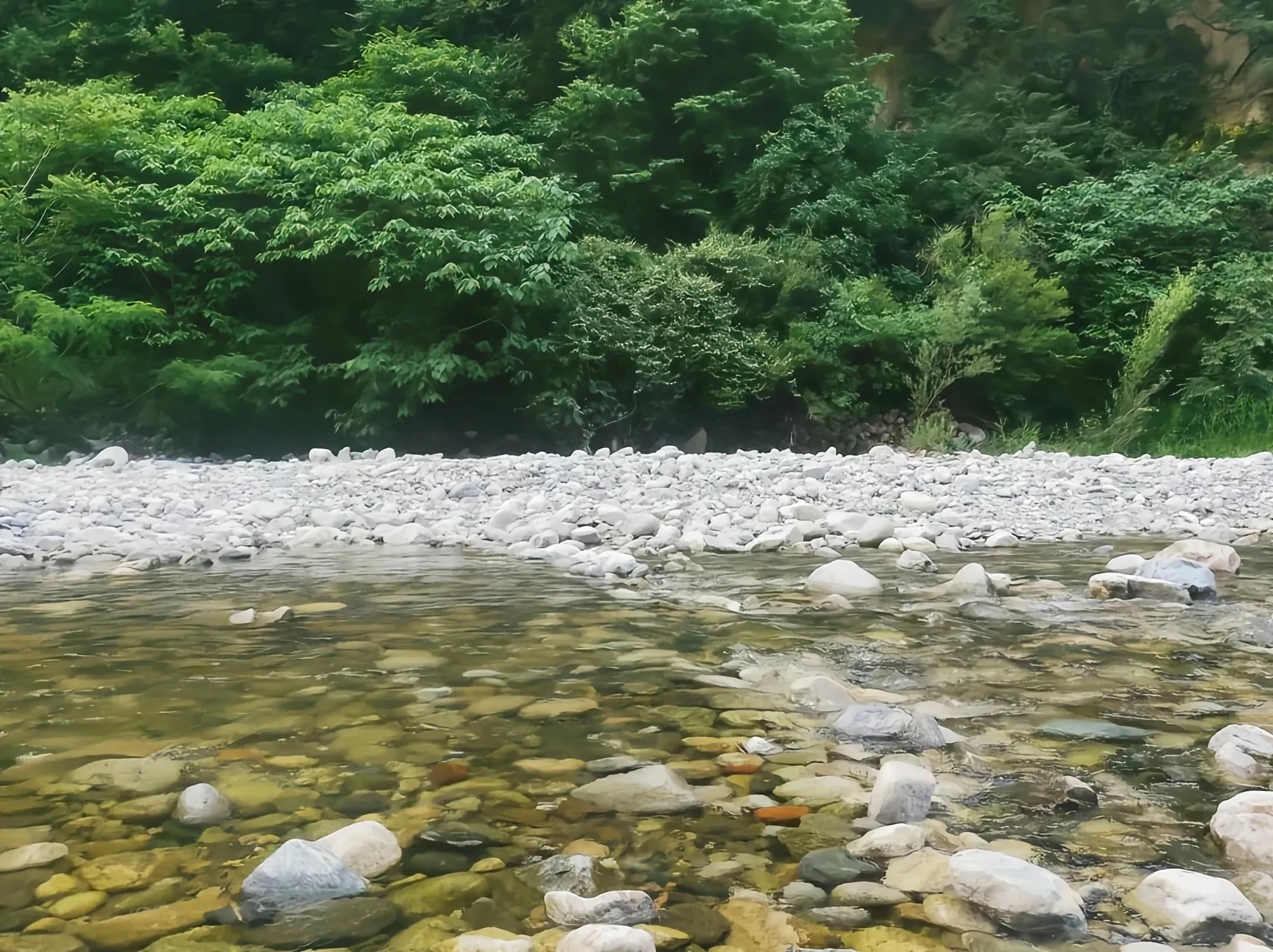 北京疫情最新实时更新与大自然呼唤下的心灵之旅启程