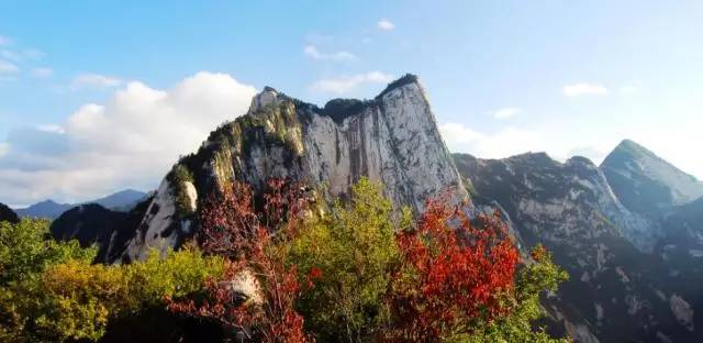 重庆旭阳教育 第260页
