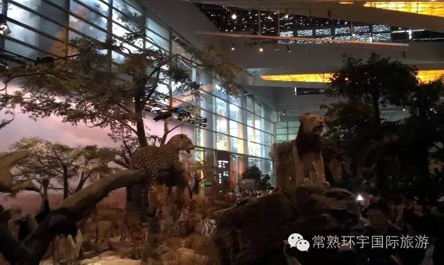 旭阳教育特训学校 第247页