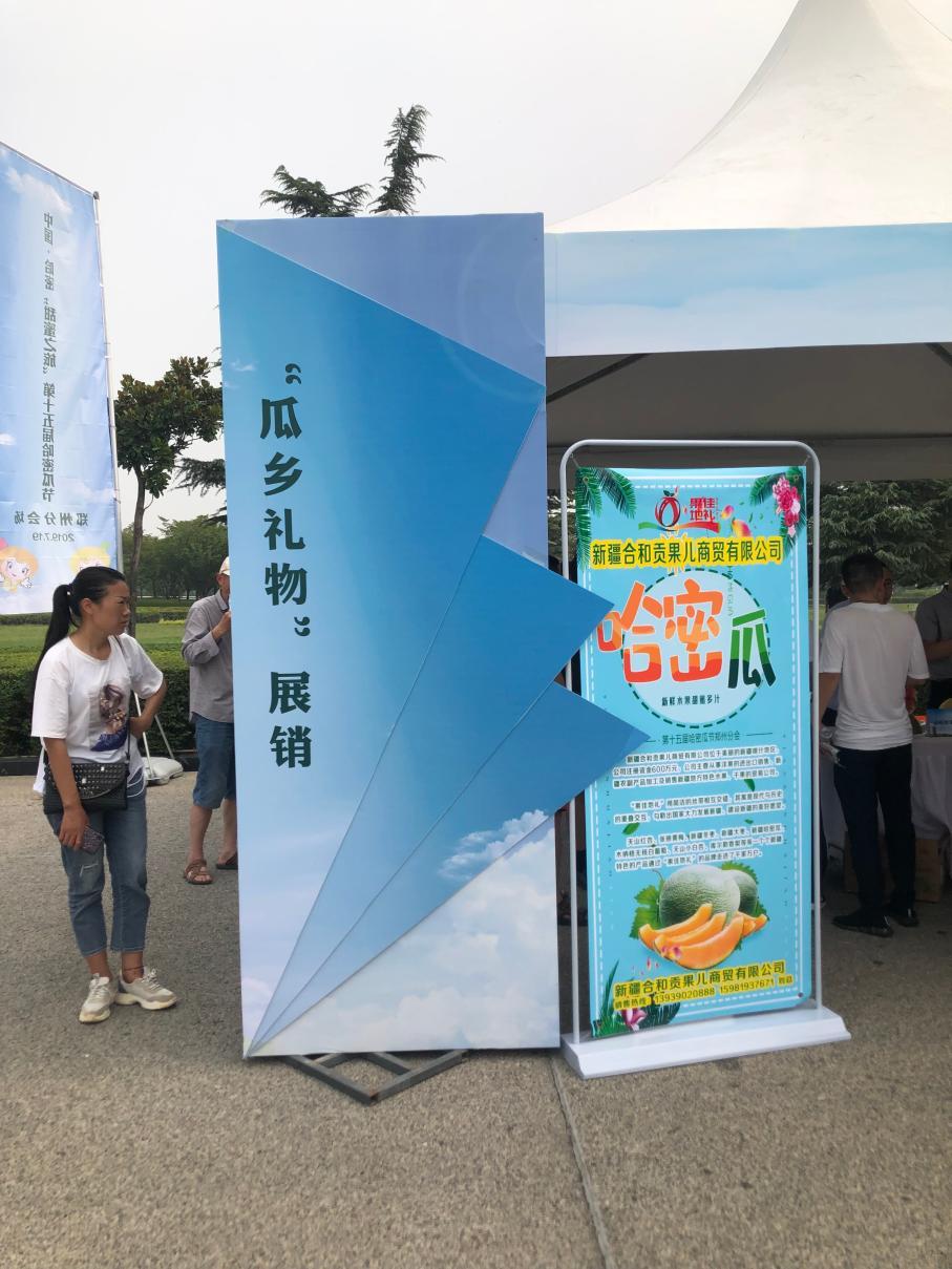 新疆GDP新篇章，小镇骄傲与友情纽带共创辉煌排名