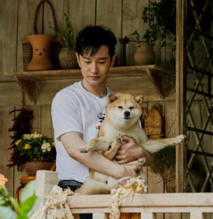 黄晓明与科技引领的智能生活革新，向往的生活新篇章