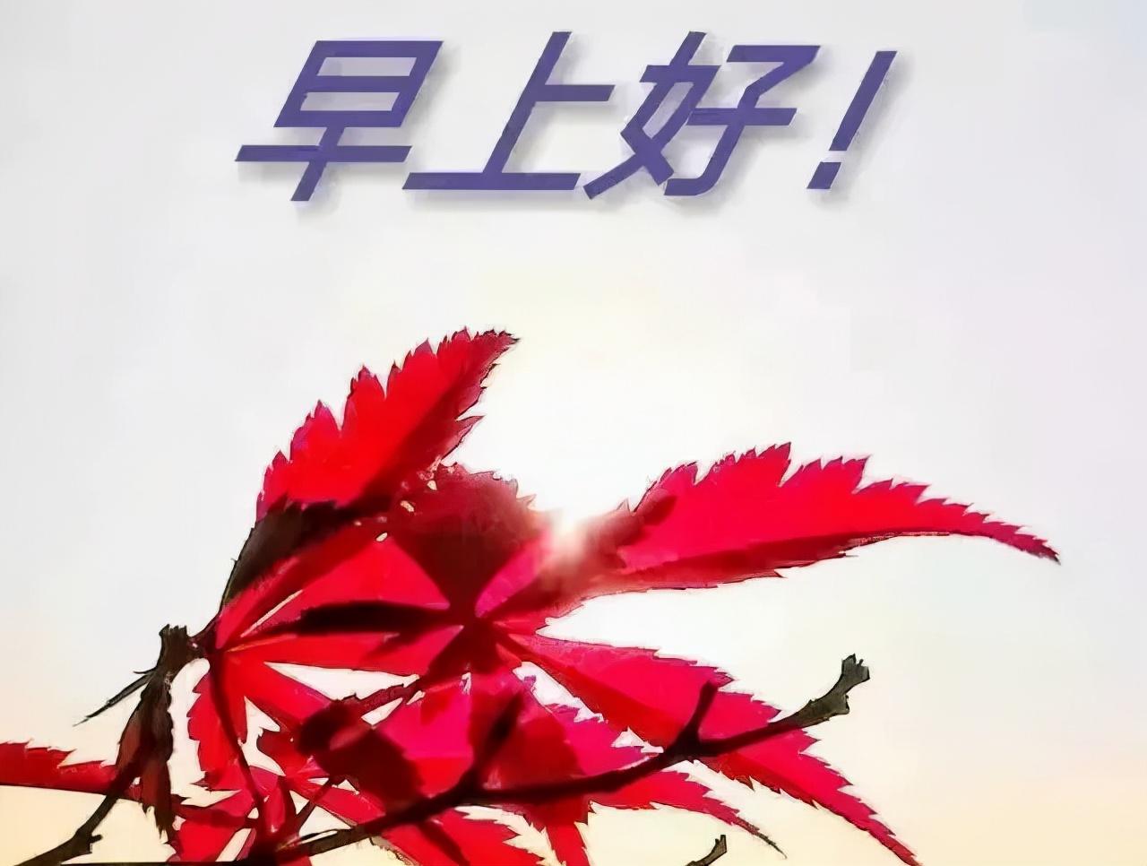 早安最新问候图，开启美好一天的心动瞬间