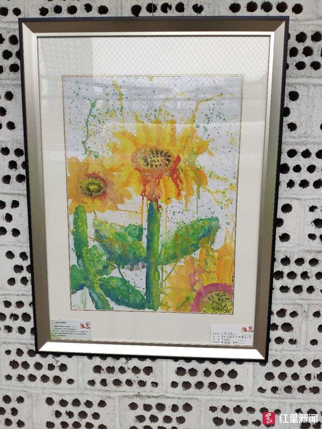 成都儿童画展最新探索自然美景之旅