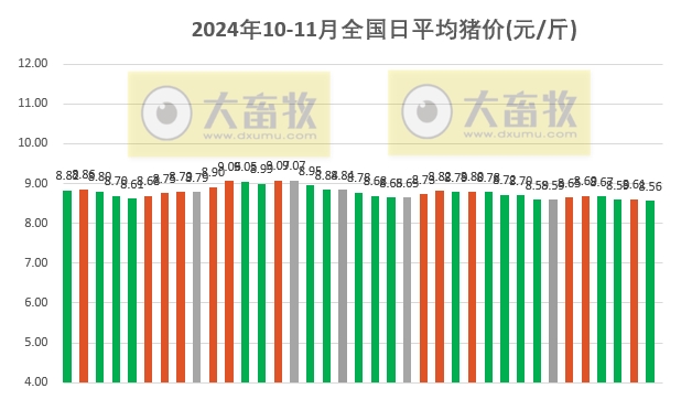 今日最新全国猪价详解与步骤指南