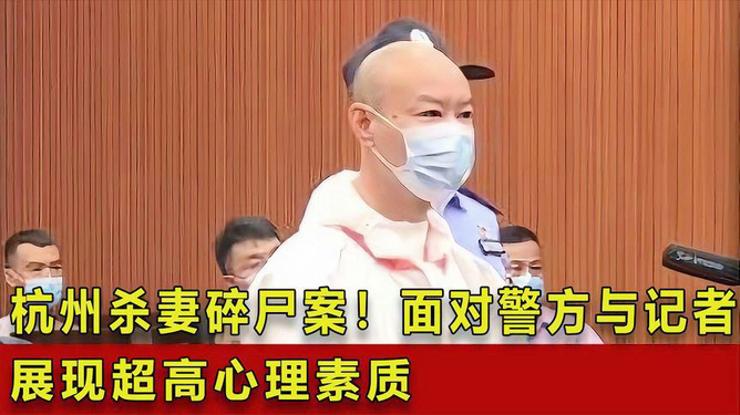 杭州杀妻碎尸案详解，了解、关注与防范的全方位指南（初学者与进阶用户必备）