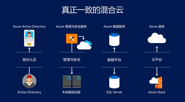 微软最新操作系统深度解析与观点阐述