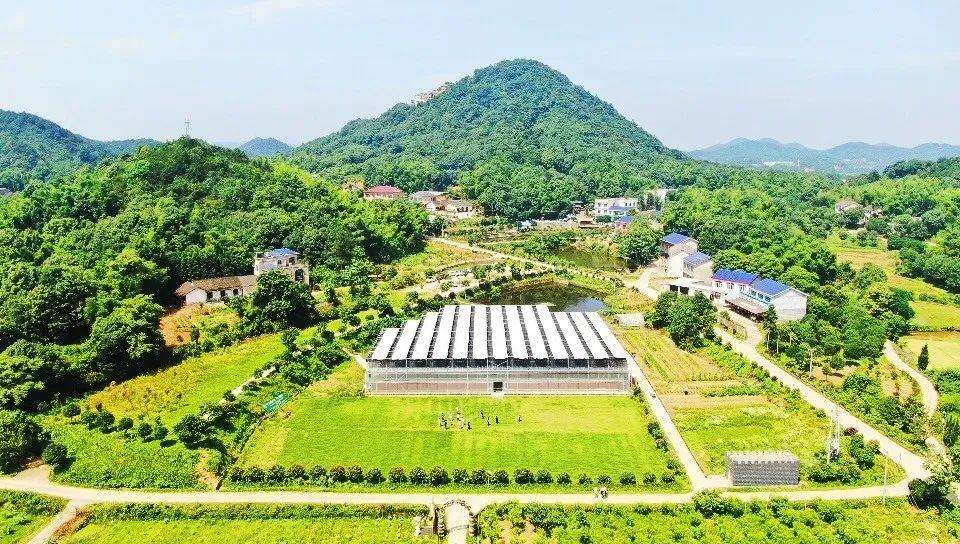 封闭式管理学校 第199页