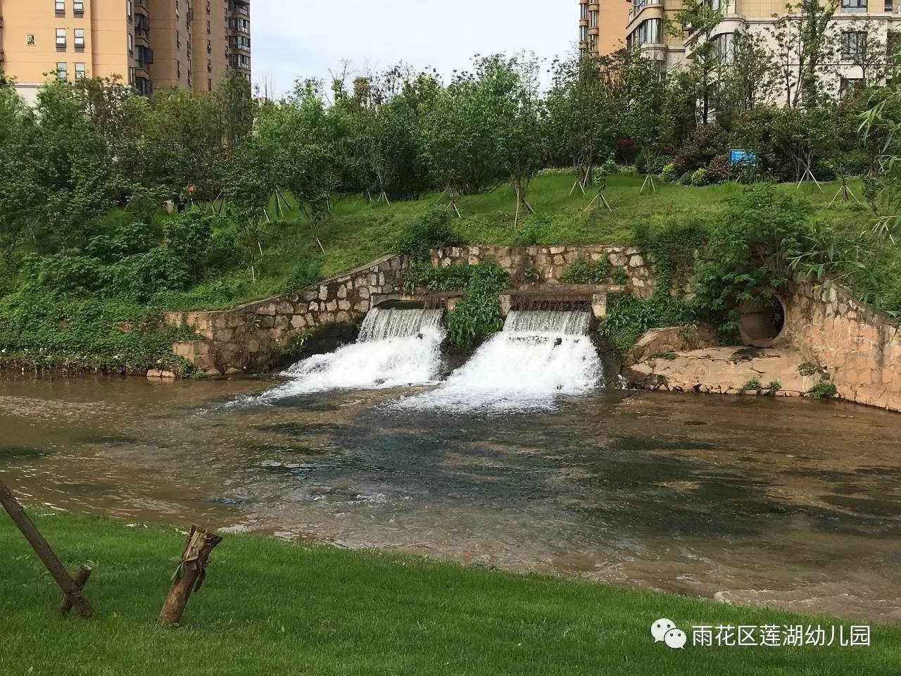 大黄最新动态揭秘，与自然美景的亲密之旅，探寻内心平和的归宿地