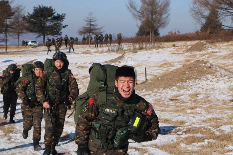 消防武警改革最新动态，深度分析与个人观点分享