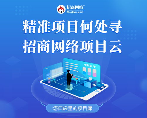 揭秘热门网络项目，不容错过的最新机遇！
