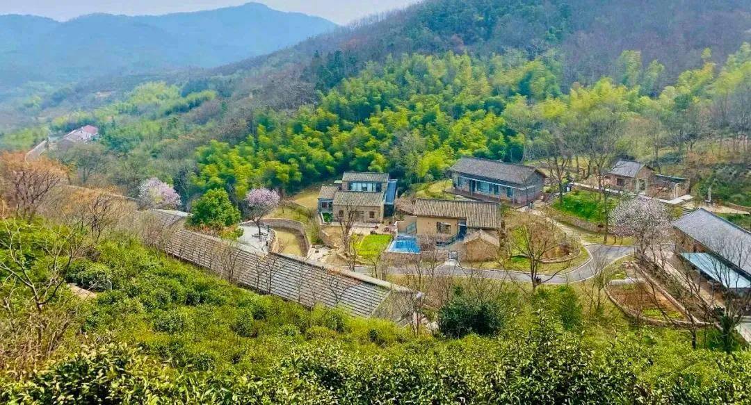 封闭式管理学校 第154页