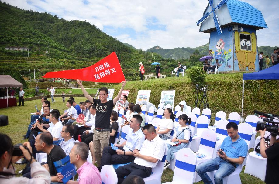 丽水最新拍卖，文化与经济的交汇盛宴