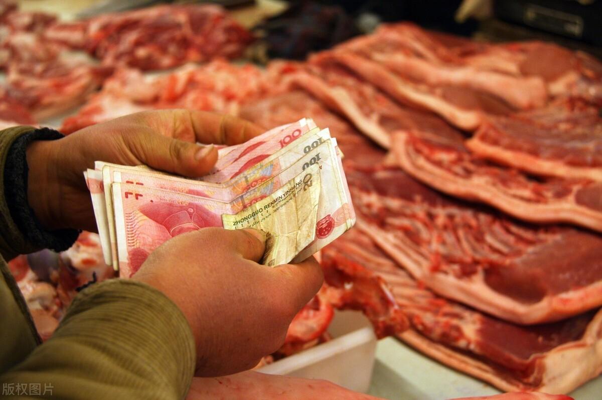重庆旭阳教育 第113页