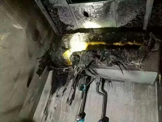 重庆旭阳教育 第102页