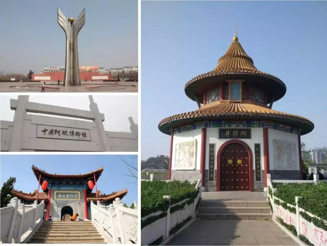 振华重工扬帆启航，探索自然美景之旅的最新动态