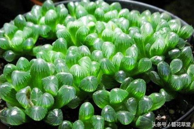 儿童教育 第71页
