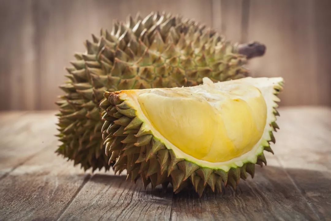 儿童教育 第65页