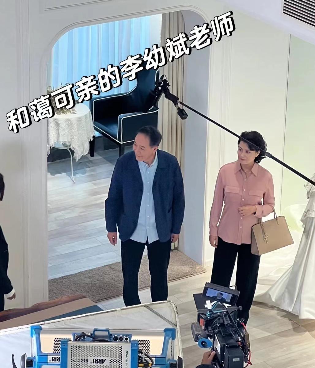 李幼斌最新电视剧深度解析与观点阐述，演技与剧情的双重魅力展现