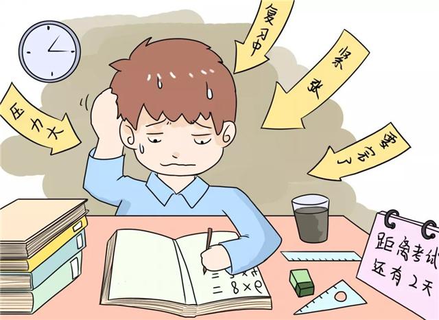 最新短语，自信与成就感的奇妙之旅