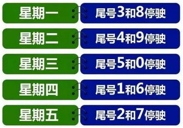 重庆旭阳教育 第38页