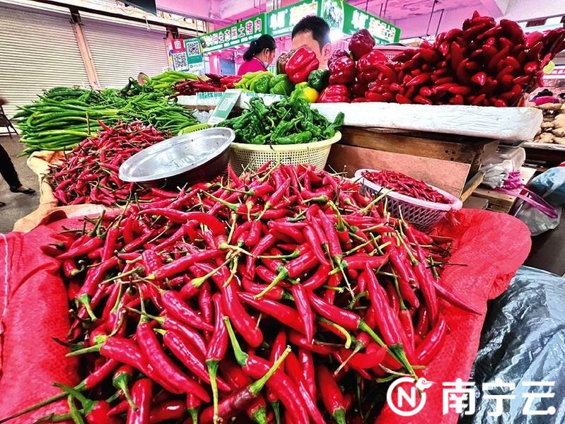 广西辣椒价格最新行情，自然美景之旅与心灵觉醒的完美结合
