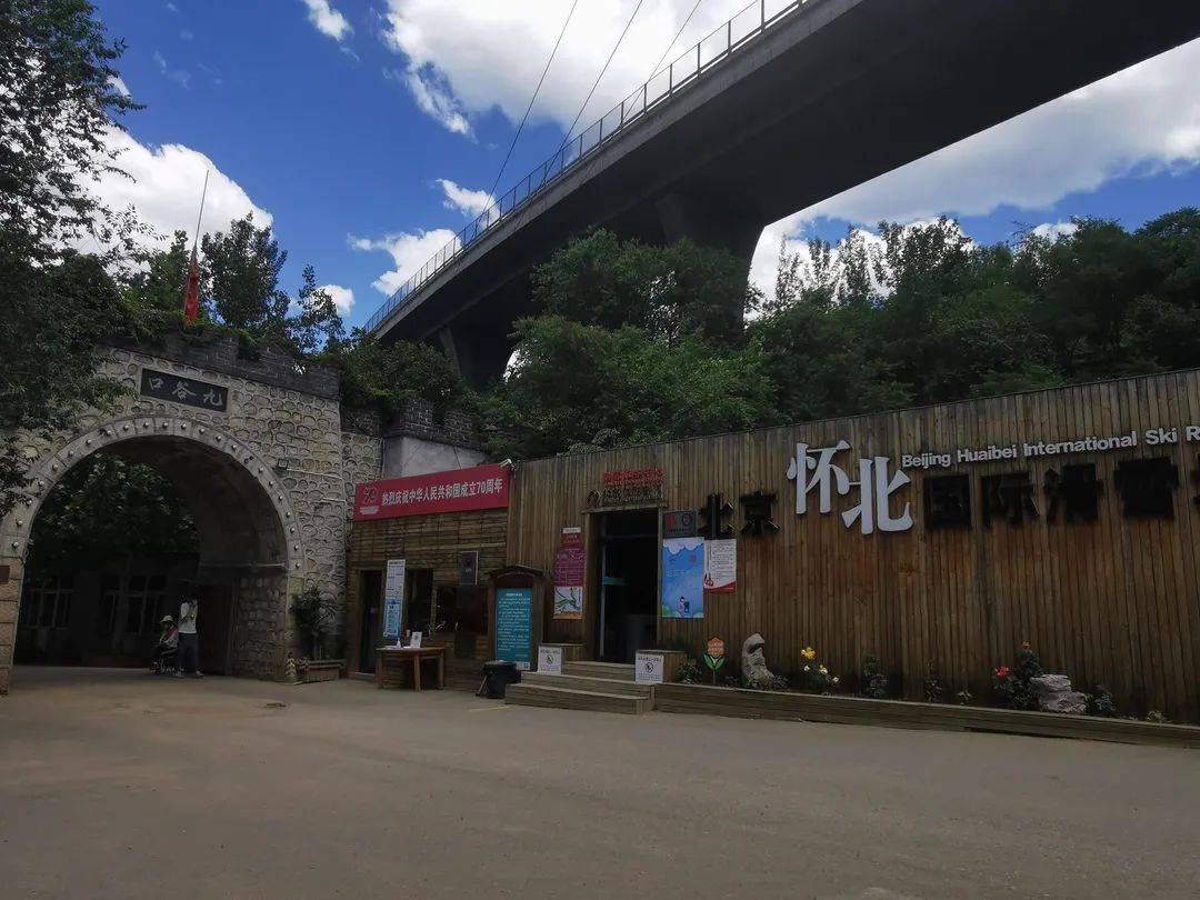 徐连高铁最新动态，速度与激情的新时代自信之旅