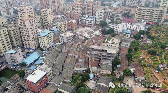 重庆旭阳教育 第13页