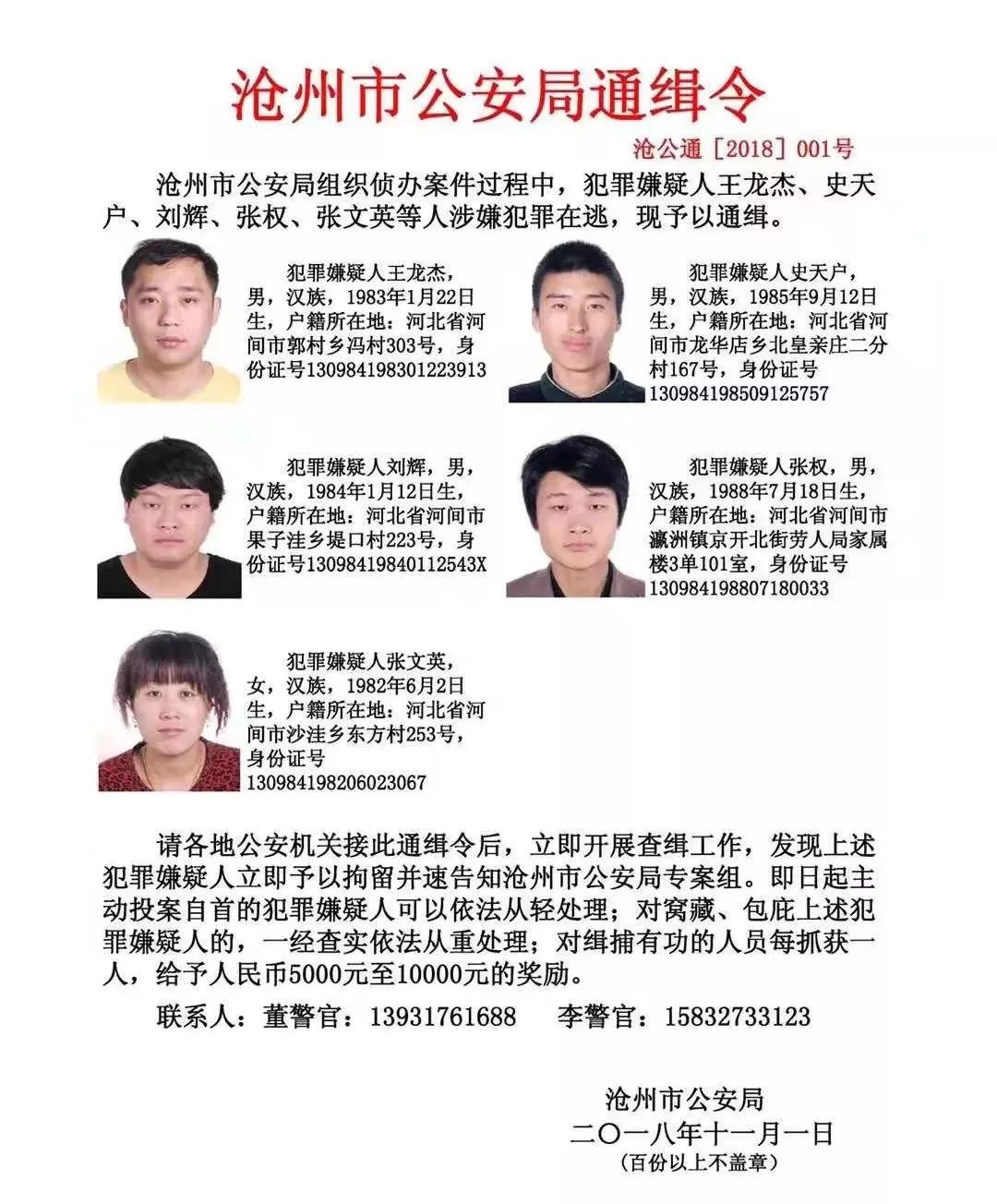 沧州通缉犯最新动态揭秘