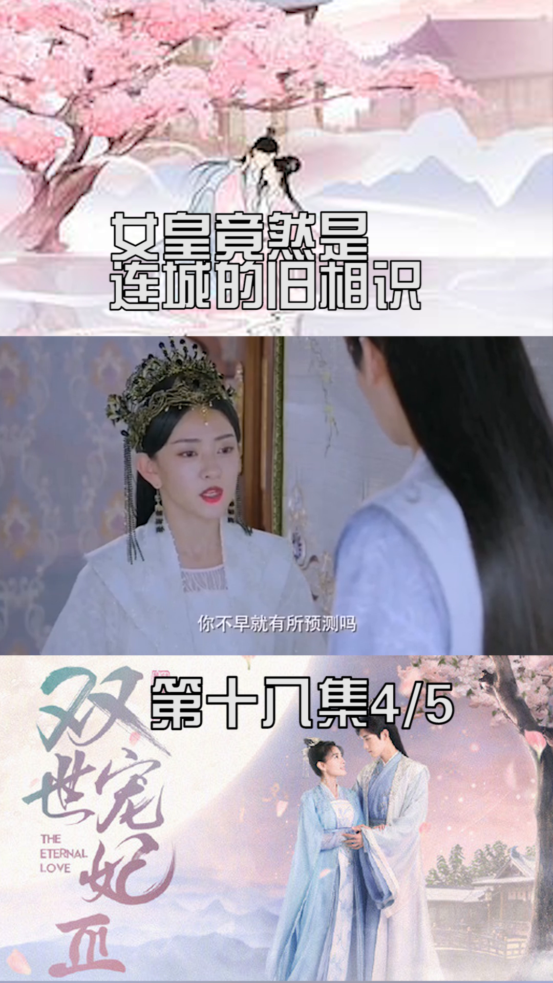 师娘双体合修的最新章节及其背景、事件与影响全解析